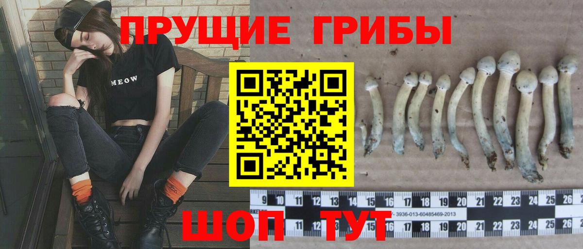 Екатеринбург  Псилоцибиновые грибы прущие грибы  Вход с VPN 